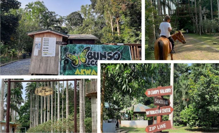 Bunso Eco Park – rainforest and wildlife