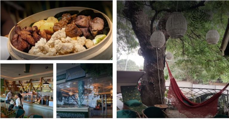 Concrete Jungle Coffee Club&Wellness Club