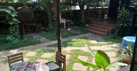 One Corner Garden One Corner Garden