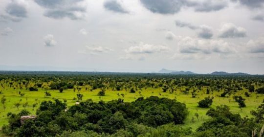 Ghana Events – Shai Highs & Wild Sights: A Visit to Shai Hills National Reserve Ghana Events – Shai Highs & Wild Sights: A Visit to Shai Hills National Reserve