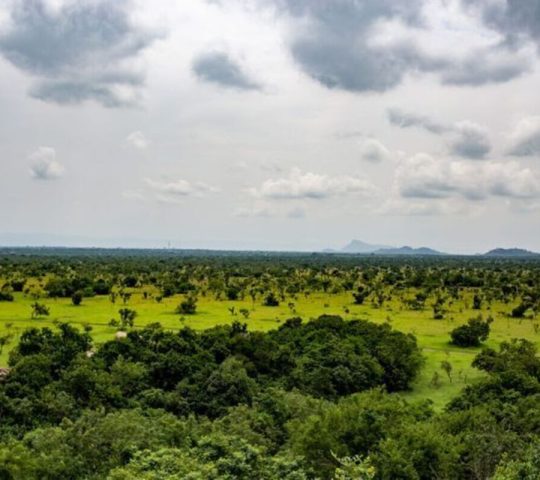 Ghana Events – Shai Highs & Wild Sights: A Visit to Shai Hills National Reserve Ghana Events – Shai Highs & Wild Sights: A Visit to Shai Hills National Reserve