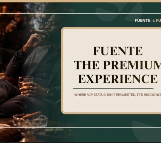 FUENTE FUENTE