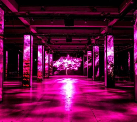 SUNANDBASS Recordings Amsterdam SUNANDBASS Recordings Amsterdam