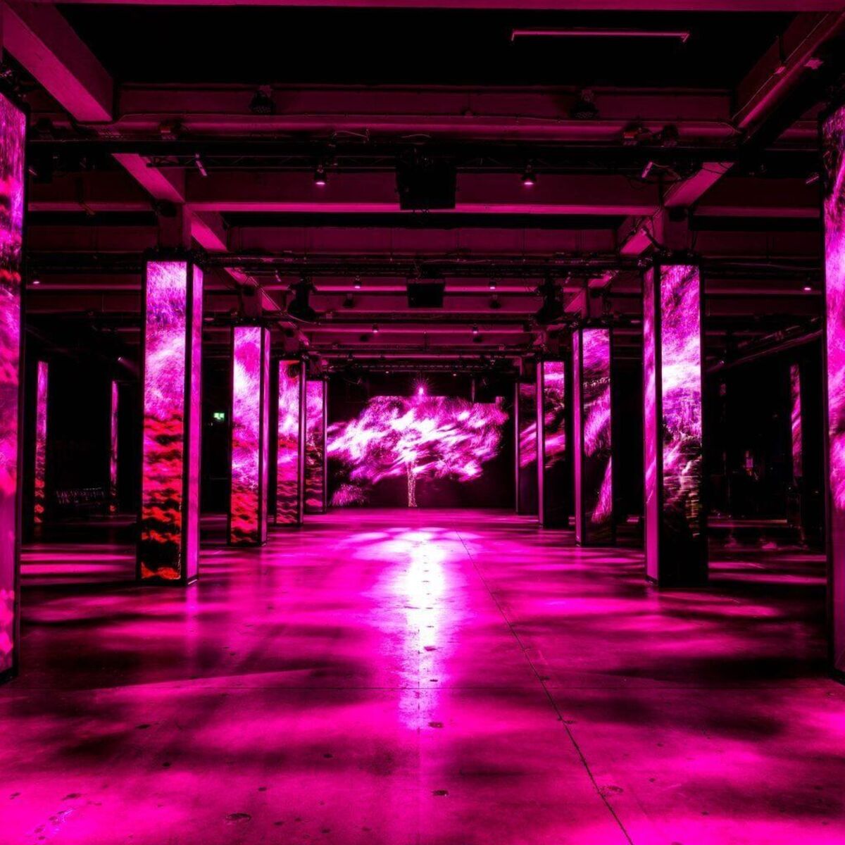 SUNANDBASS Recordings Amsterdam SUNANDBASS Recordings Amsterdam
