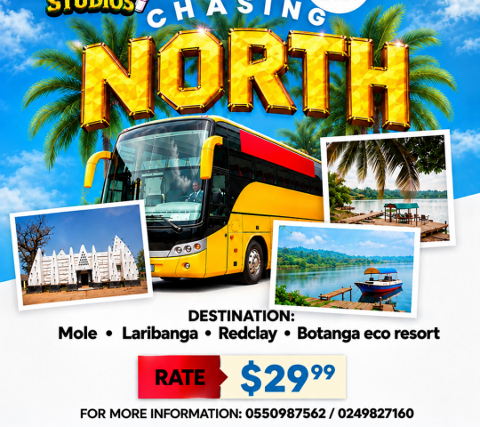 Chasing North Chasing North