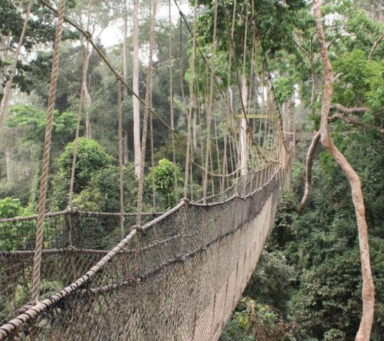 Kakum National Park and the Canopy Walk