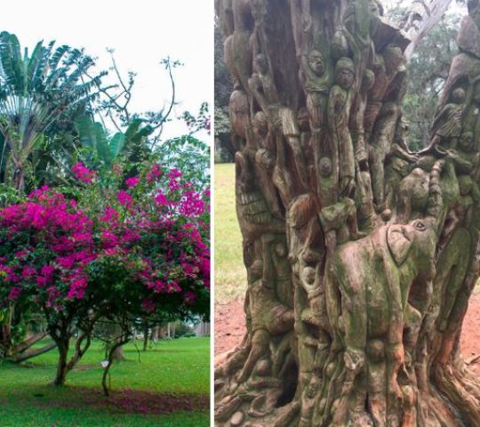 Aburi Botanical Gardens