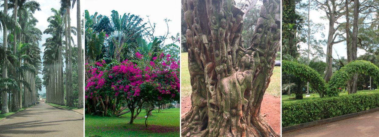 Aburi Botanical Gardens in the Eastern region built in 1890