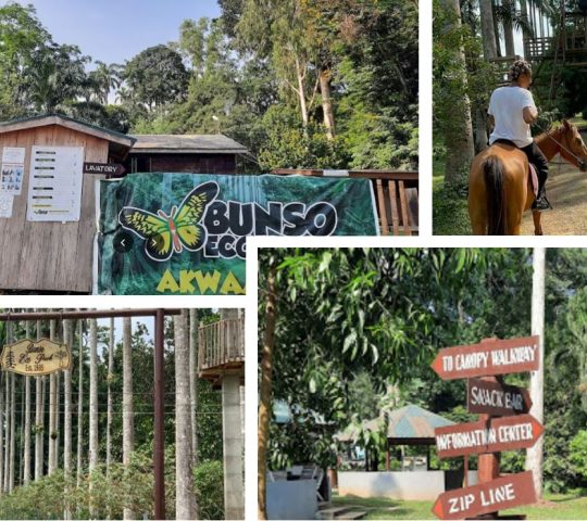 Bunso Eco Park – rainforest and wildlife