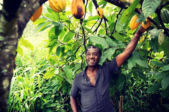 Kwame Tourism – Ghana Tours