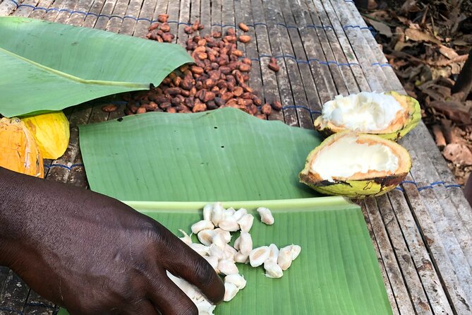 Nyonkopa Eco Tours- Ghana Tours
