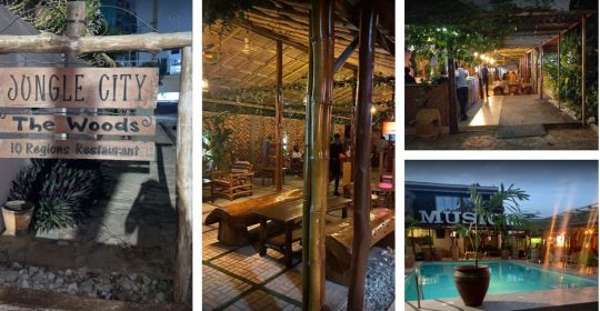 The Woods Bar and Lounge