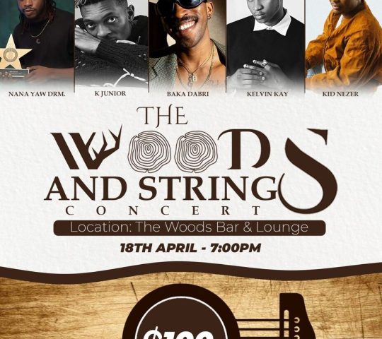 The Woods & Strings Concert