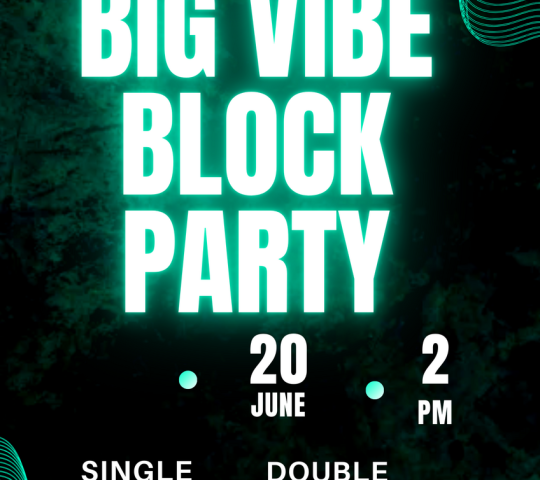 BIG VIBE BLOCK PARTY