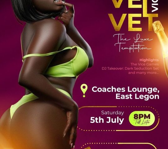 VELVET VICE
