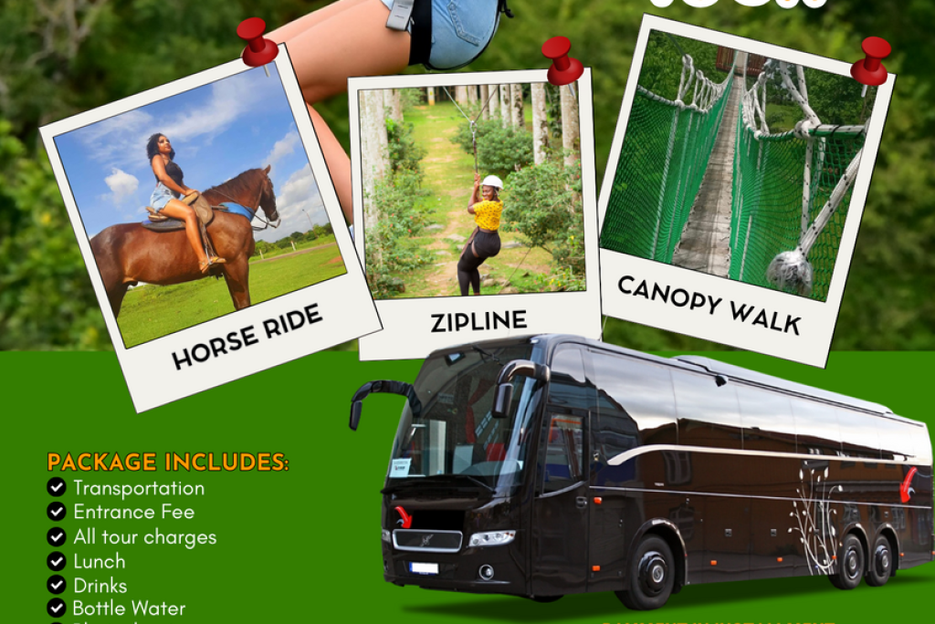 BUNSO ECO PARK TOUR WITH TORPEDO TRAVS