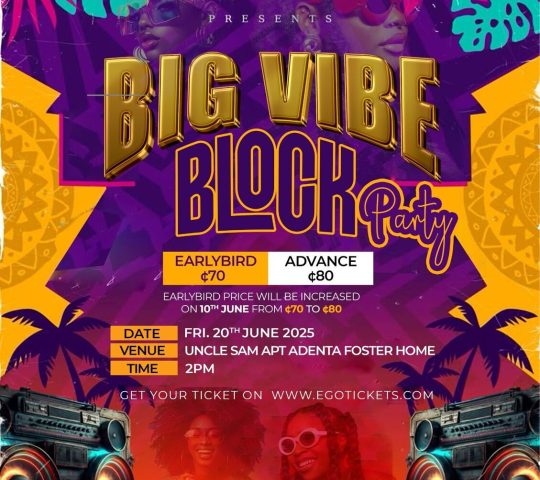 BIG VIBE BLOCK PARTY 🥳🍾