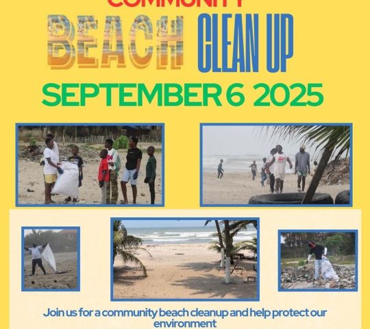 Community Beach Cleanup Day
