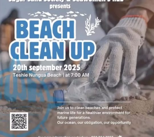 World Clean Up Day & World Maritime Day