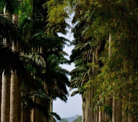 Ghana Events – Trails & Tales A Day in Aburi