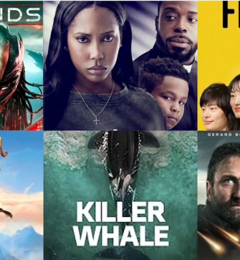 FILM REVIEW: Aloe Vera (2020) - viewGhana - Your ultimate guide to Ghana